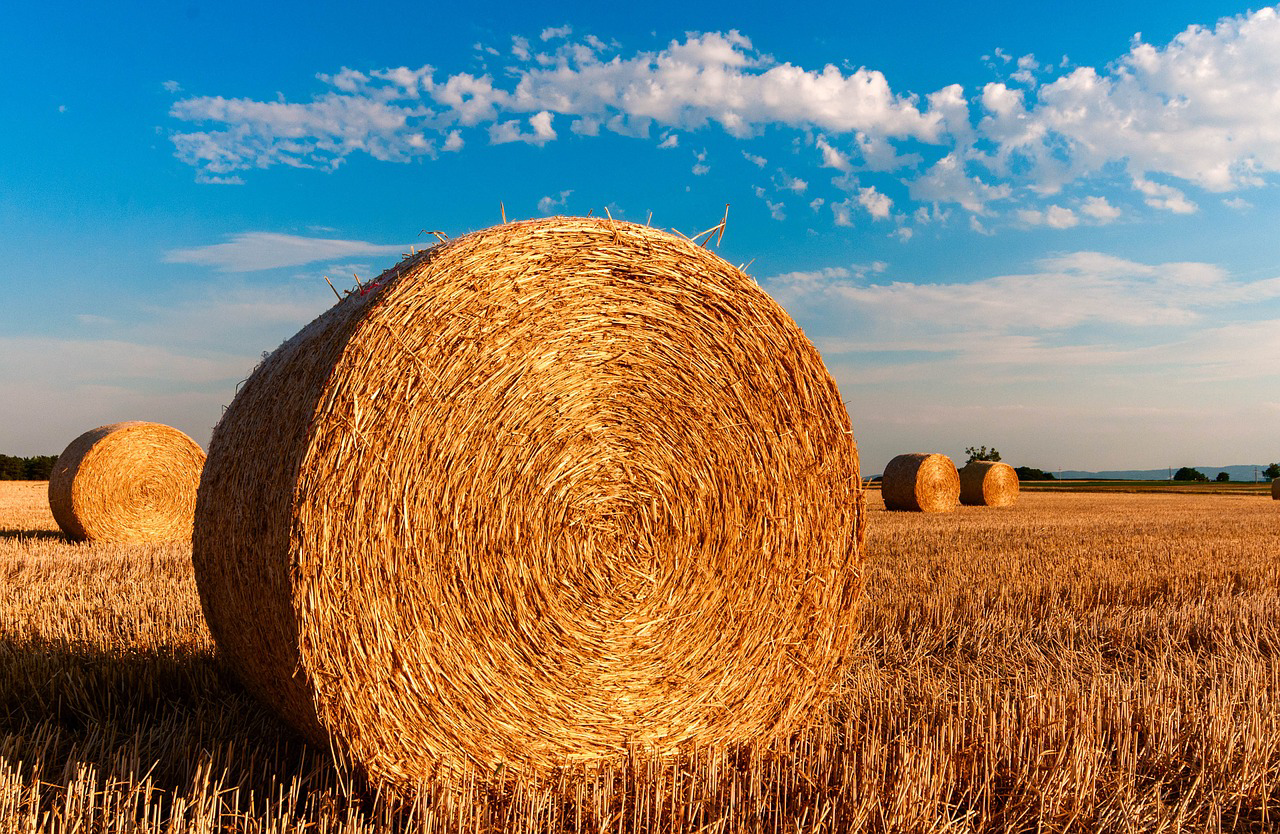 Loi EGALIM II : les nouveautés visant à protéger les producteurs et les fournisseurs