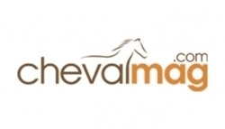 Chevalmag - Un cavalier britannique banni d'une compétition pour usage violent de la cravache