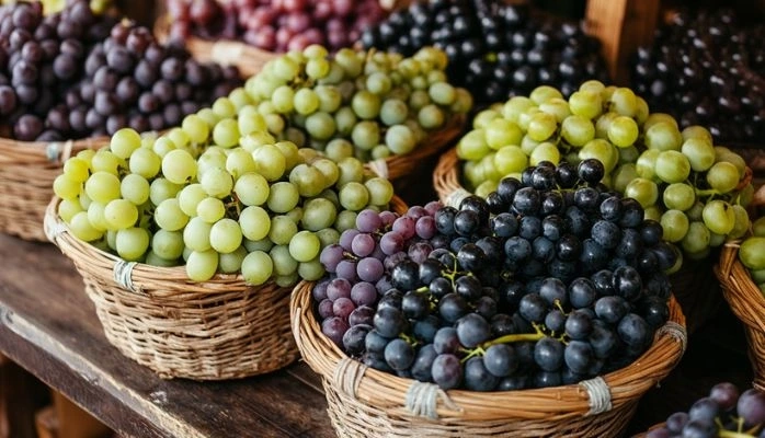 Droits de douane américains : les vins bourguignons bientôt inaccessibles aux Etats-Unis ?