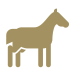 equin-63c11f1c90610.png